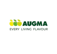 Augma